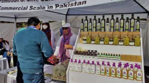 البنك الآسيوي للتنمية يقدم 2.1 مليار دولار لدعم إصلاحات باكستان في 2025 Pakistan sets up over 50 extraction units, 90 startups to boost olive production
